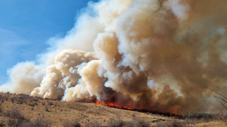Canicula provoacă incendii de vegetație în vestul Europei