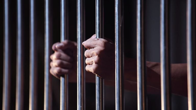 Dosarele AIPA: Patru persoane, plasate în arest preventiv pentru 30 de zile