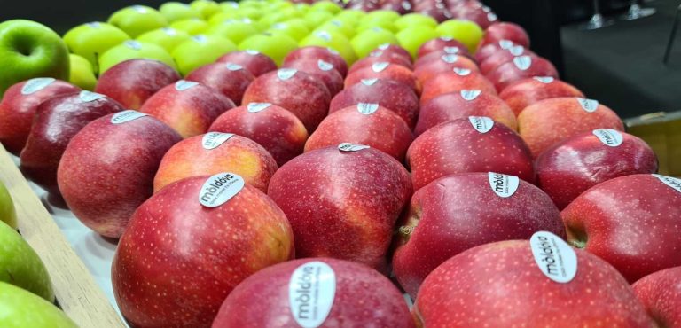 Exporturile moldovenești de mere în martie au fost cu mult sub media pe cinci ani pentru această lună