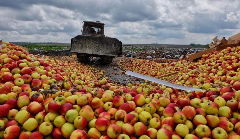 Rusia interzice importul produselor agricole din majoritatea raioanelor Moldovei