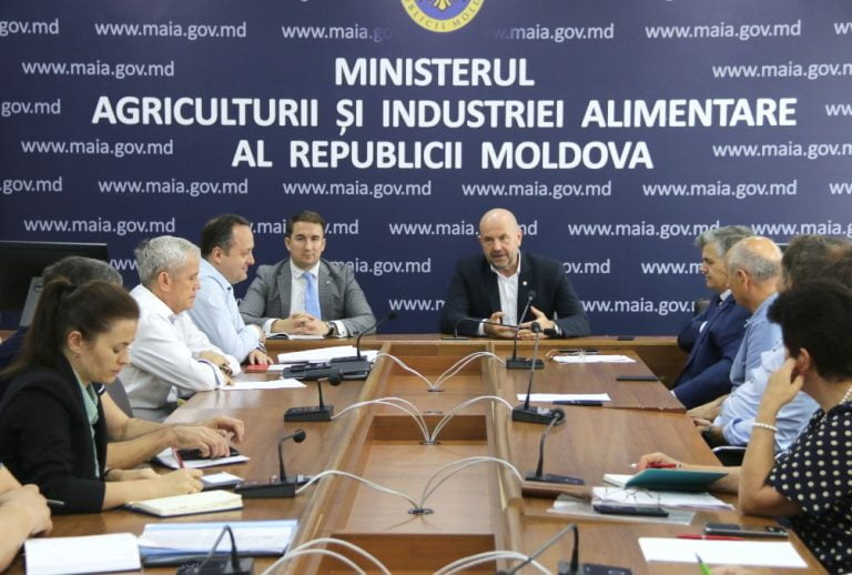 Vulnerabilitățile și perspectivele de dezvoltare a industriei vitivinicole – discutate la Ministerul Agriculturii