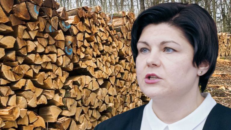 Gavrilița anunță unde vor fi depozitate lemnele oferite de România: Va ajunge pentru toată populația!