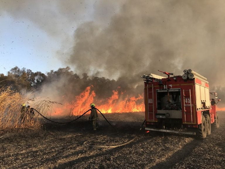 FOTO/Incendiu de proporții în preajma unor sonde de petrol. 13 autospeciale și 39 de pompieri au luptat cu flăcările