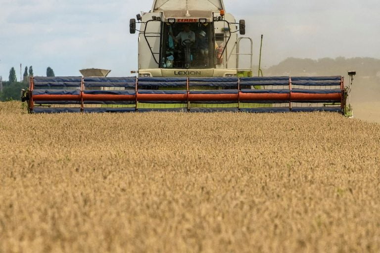 În 2022 Ucraina a exportat cu 30% mai puține cereale