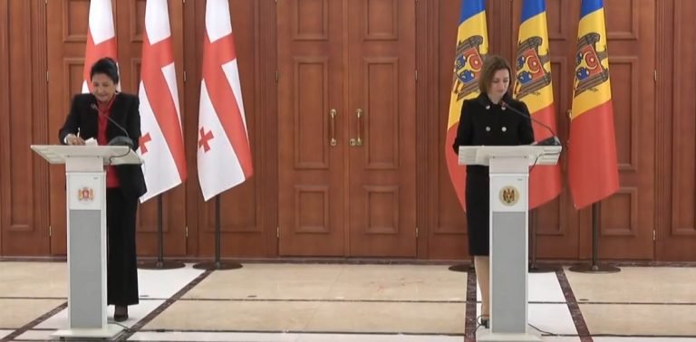 VIDEO/ Șefa statului, după întrevederea cu președinta Georgiei: „Datoria noastră este să facem totul pentru a grăbi realizarea visului european al popoarelor noastre”
