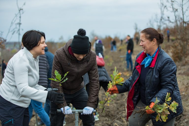 Ziua națională a înverzirii plaiului: Circa 15.000 de puieți de stejar, plantați de angajații Guvernului în  frunte cu premierul Natalia Gavrilița