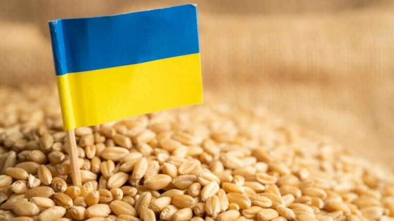 Cerealele ucrainene care tranzitează Moldova în continuare nu vor fi supuse controlului ANSA