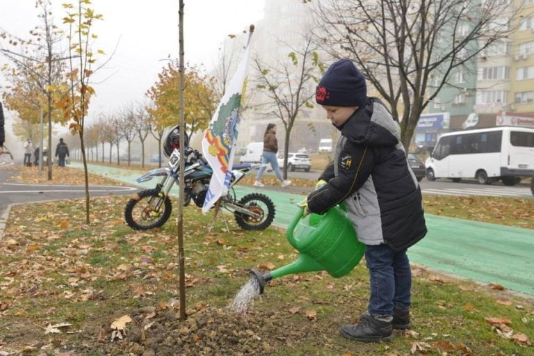În Chișinău, urmează a fi sădiți 60 de mii de arbori și arbuști