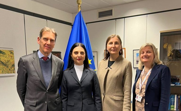 Progresele înregistrate pe domeniul vamal cu Uniunea Europeană, discutate la Bruxelles