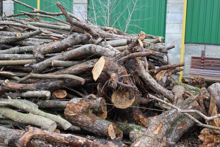 Cum a fost distribuit lemnul de foc procurat din România