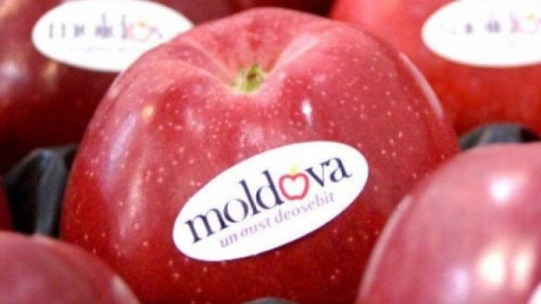 Fructele moldovenești, prezentate în premieră la o expoziție în Grecia