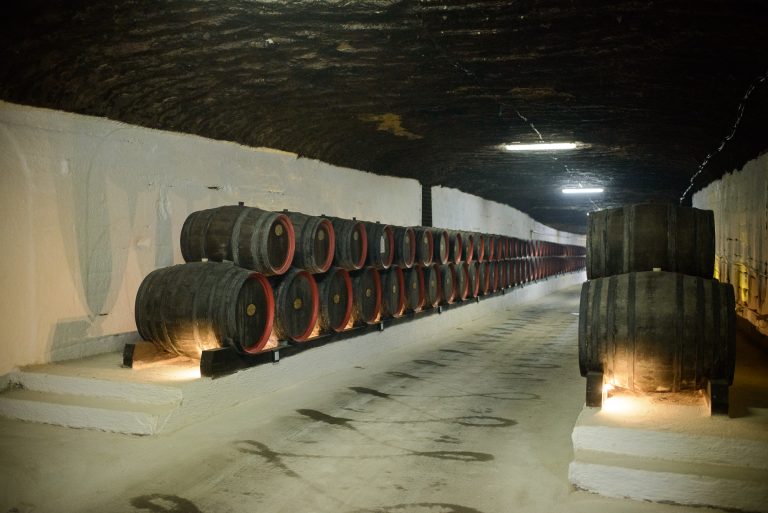 Suport din partea Guvernului pentru întreprinderile afectate de criză: „Este ca o gură de aer, când fluxurile bănești sunt la zero”