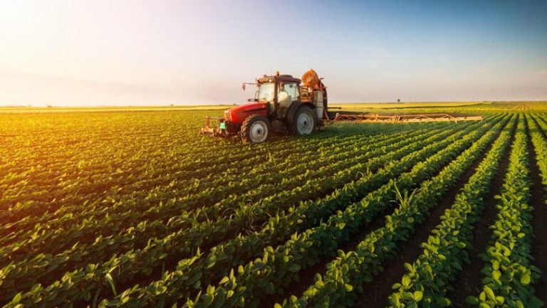 Mai mulți agricultori vor avea acces la proiectul „Livada Moldovei”