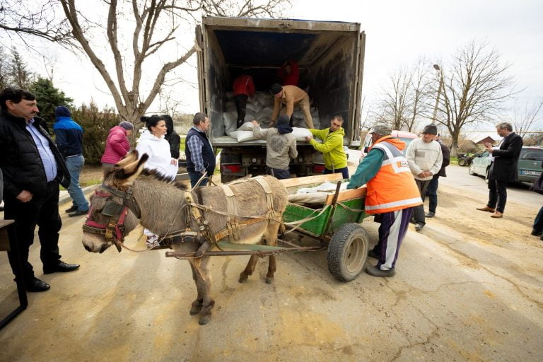 Furaje gratuite pentru gospodării și micii fermieri