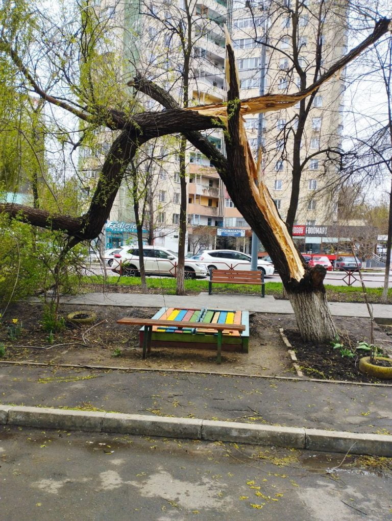 Vijelie în Chișinău: 200 de arbori, doborâți de vânt pe străzi și în curți