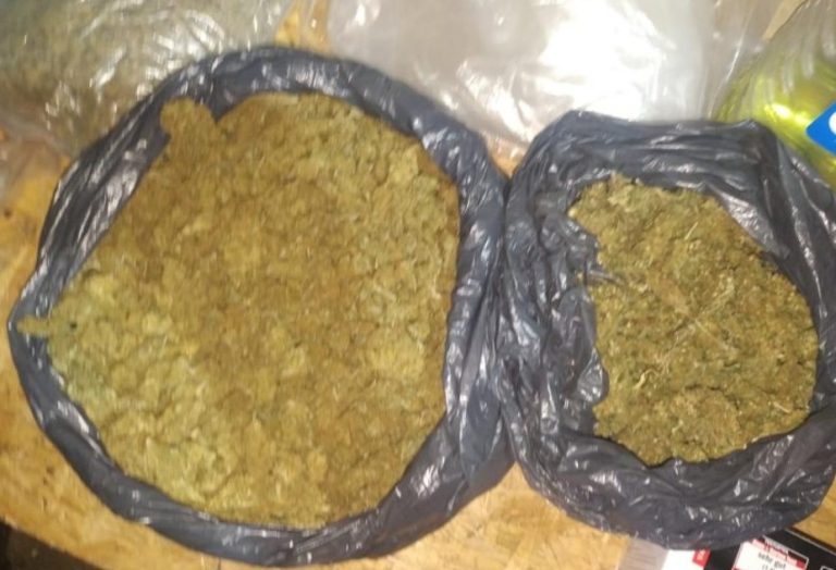 VIDEO/ 14 kg de marijuana, ridicate de polițiști la Cahul: Pe piața neagră, captura de droguri ar costa circa trei milioane de lei