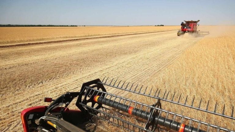 România și alte patru state est-europene opresc, timp de o lună, importurile de cereale din Ucraina