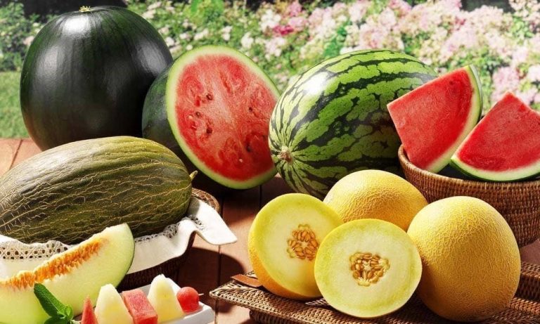 Cum alegem corect pepenii verzi și galbeni? ANSA, recomandări pentru consumatori