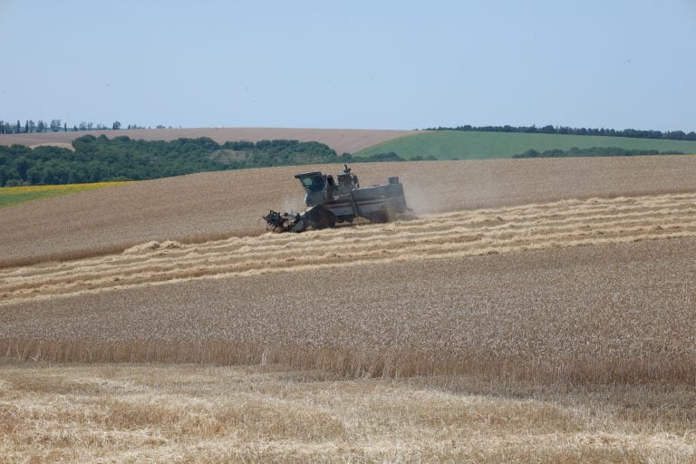 Soluția pentru problemele agricultorilor, în special pentru prețuri mici de vânzare, este asocierea, susține Vladimir Bolea