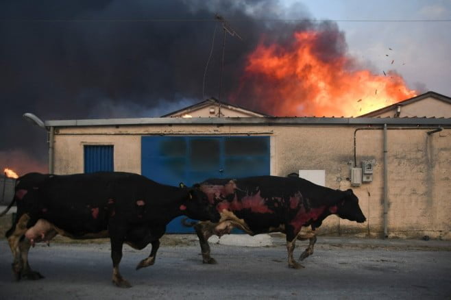 FOTO/ „Apocalipsa” în imagini. Cum arată zonele din Grecia distruse de incendiile puternice