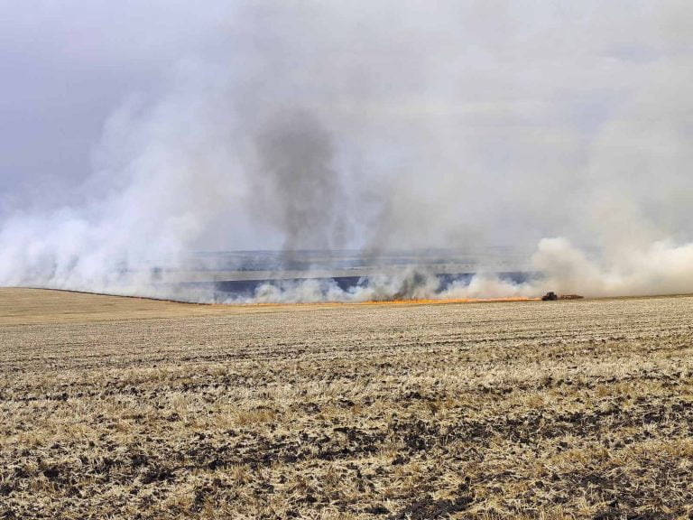 Alarmant! Zeci de hectare de culturi agricole și vegetație uscată, nimicite de flăcări