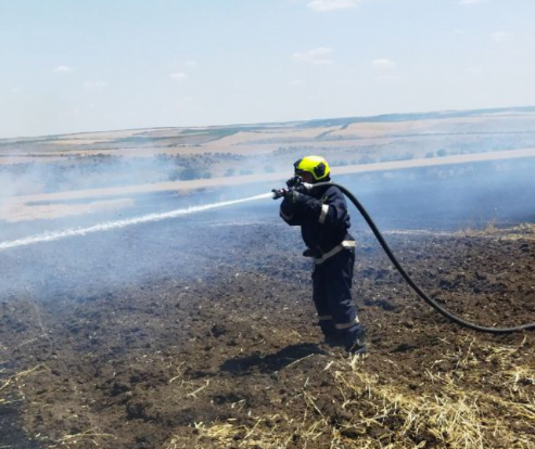 FOTO/ Mai multe hectare de culturi agricole, nimicite de flăcări în ultimele 24 de ore