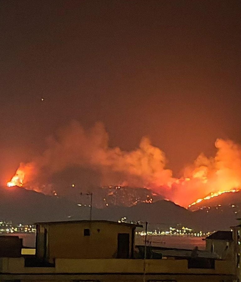 VIDEO/ Temperaturi record în Europa! Incendiile de vegetație fac ravagii în Italia