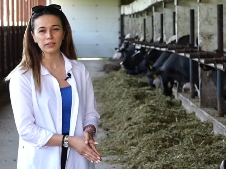 AUDIO/Ludmila Catlabuga: Vacile trebuie să se regăsească la o fermă, mai puțin în gospodăriile casnice