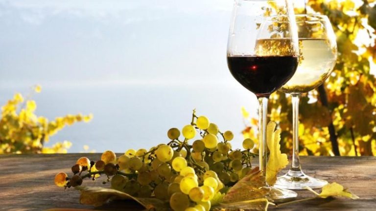 Exportul de vinuri a crescut, în perioada ianuarie-noiembrie, cu 17%
