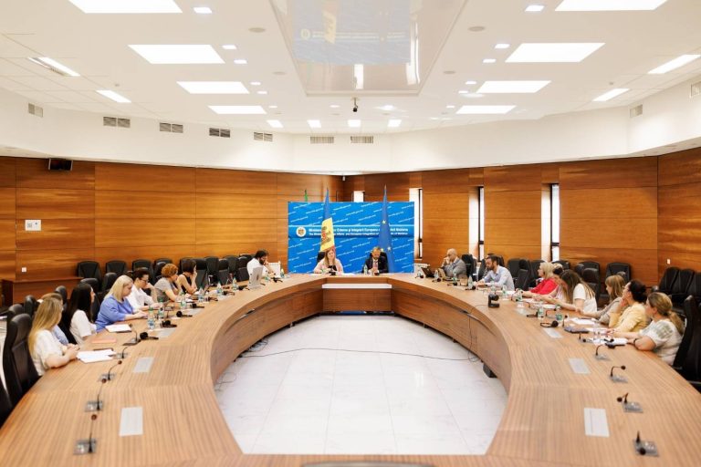 Discuții diplomatice despre realizările în parcursul european