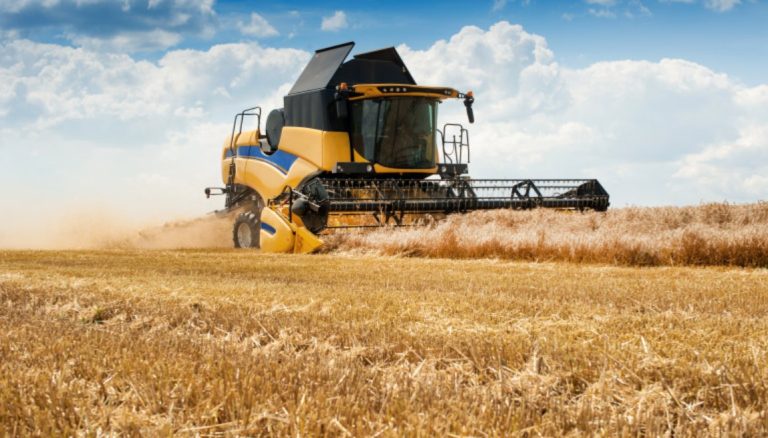 Prețul cerealelor va creşte, la nivel mondial, cu până la 15%, anunță FMI