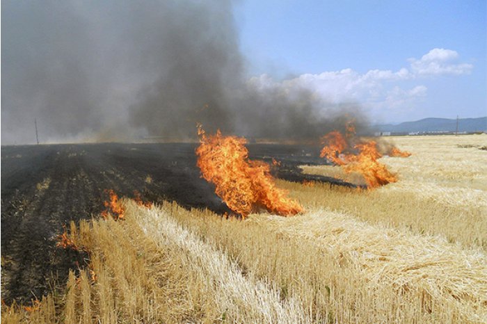 O nouă avertizare meteorologică: Cod Galben de pericol de incendiu în toată țara