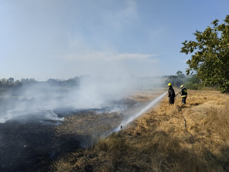 VIDEO/ Mai multe hectare de vegetație uscată, nimicite de flăcări în ultimele 24 de ore: Un bărbat din Ungheni, transportat la spital