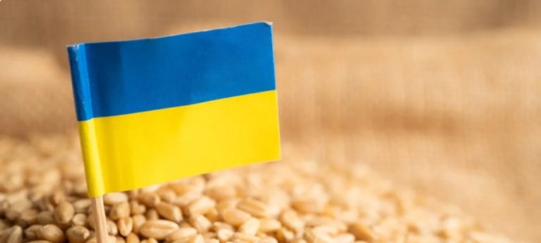 Licența pentru importurile de cereale din Ucraina va fi obligatorie până la sfârșitul anului. Proiectul va fi examinat în Parlament