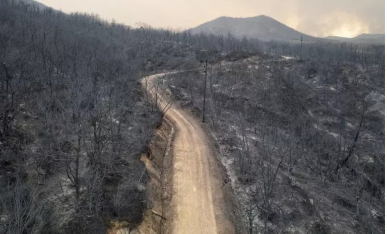 Suprafețele devastate de incendiile din Grecia vor depăși 150 de mii ha