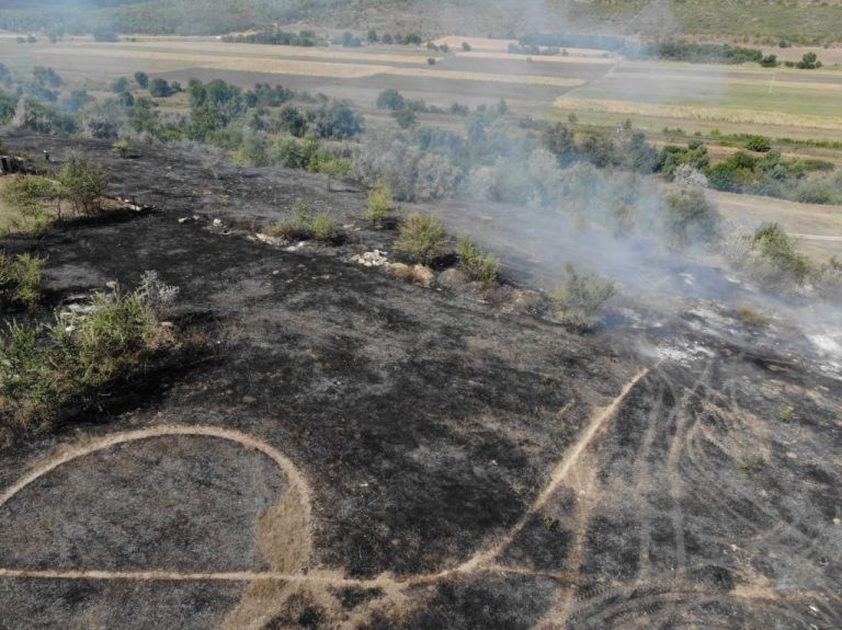 FOTO/ Incendiu masiv de vegetație la Stăuceni: Pompierii luptă cu flăcările de mai multe ore