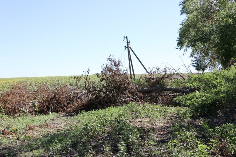 Lecții primite. După intemperiile de săptămâna trecută, Ministerul Energiei propune mutarea cablurilor de pe stâlpi în subteran