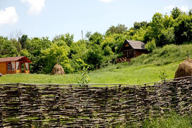 Proprietarii de livezi și podgorii, încurajați să creeze spații turistice pe terenurile deținute