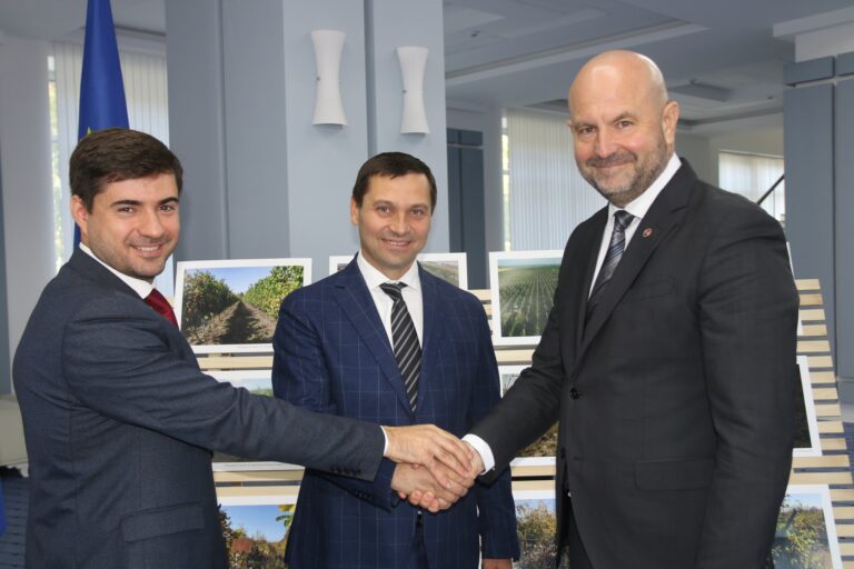 Combinatul de vinuri ”Cricova” și-a dublat terenurile pentru podgorii