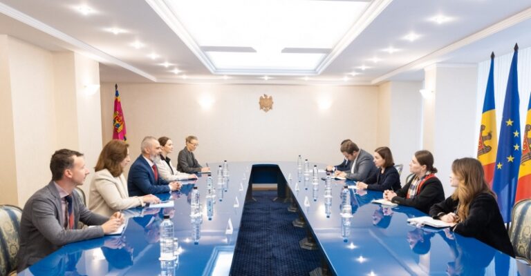 O delegație europeană de monitorizare a alegerilor, la Președinție