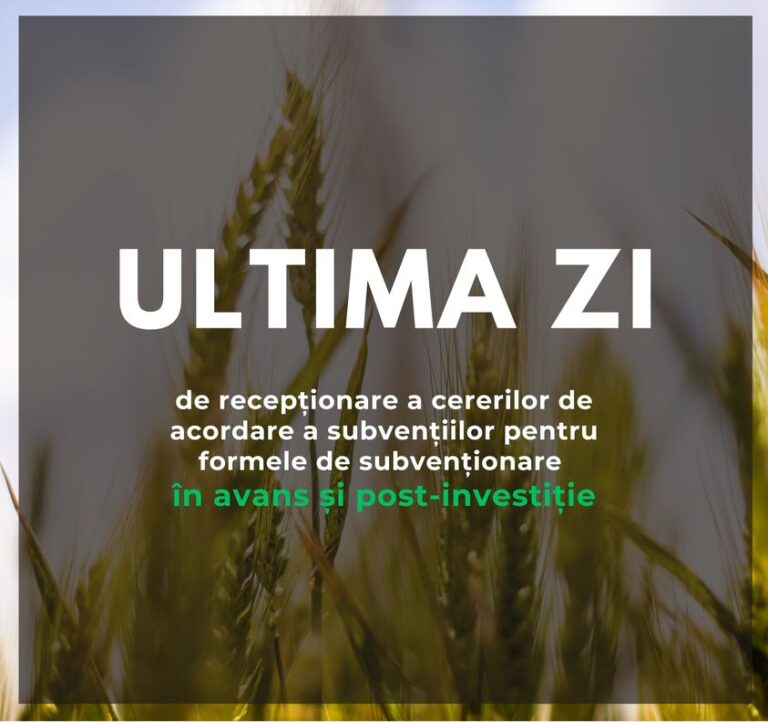 Ultima zi pentru solicitarea subvențiilor în avans și celor post-investiție