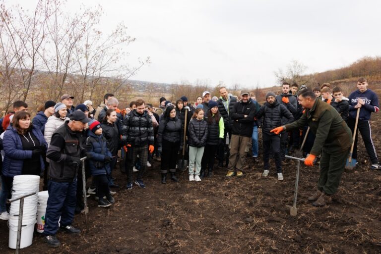 VIDEO/ Circa 18.000 de puieți de stejar și salcâm, plantați la Ialoveni. Maia Sandu: Vă îndemn să vă alăturați campaniei de împădurire!