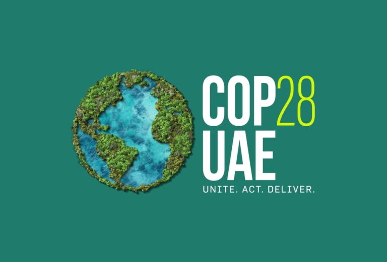 Ministrul Energiei a plecat în Dubai. Parlicov participă la Conferința ONU pentru schimbări climatice