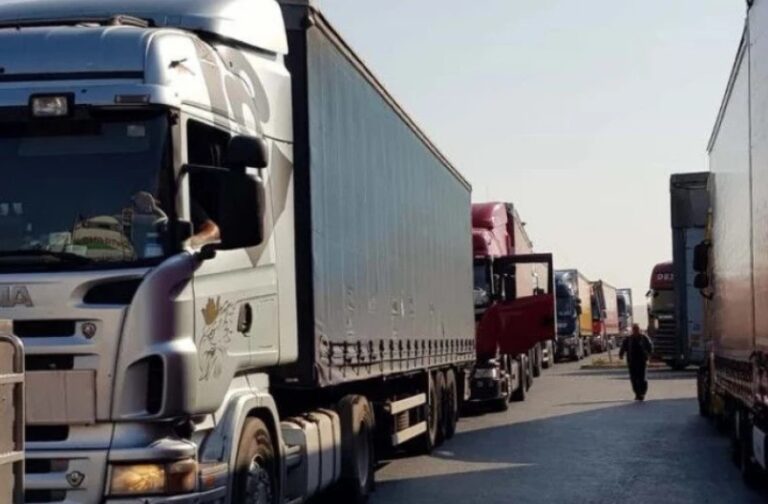 Transportatorii de mărfuri se vor programa online pentru traversarea vămii