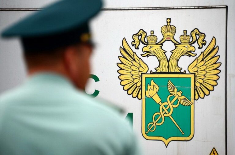 Rusia vrea să le închidă gura străinilor care ajung în țară 