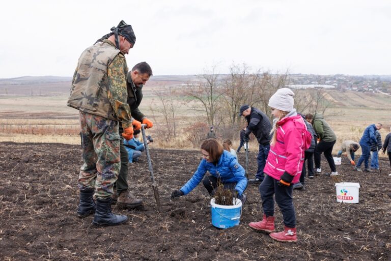 Șapte mii de hectare de pădure, plantate în 2023. Mesajul Maiei Sandu de Ziua Mediului