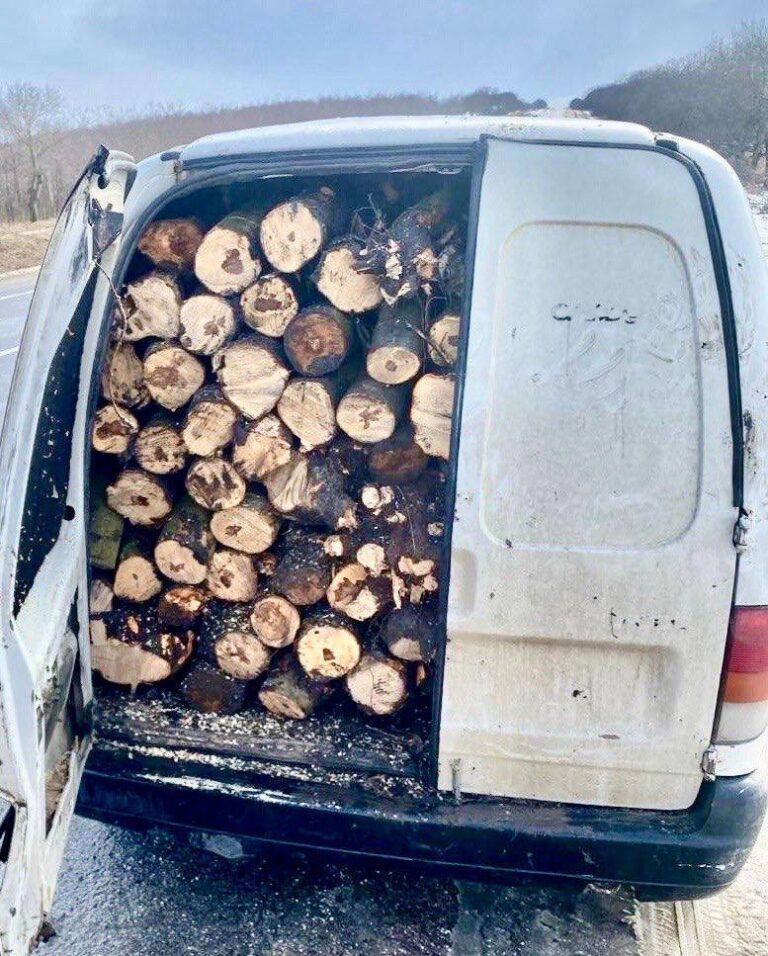 FOTO/ Patru șoferi, prinși când transportau ilegal lemne de foc