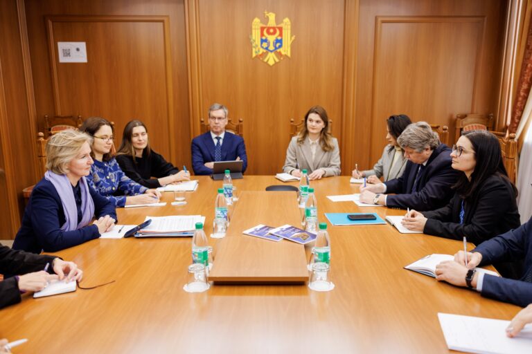Prioritățile de cooperare cu executivul UE în 2024, discutate de Cristina Gherasimov cu reprezentanții Comisiei Europene