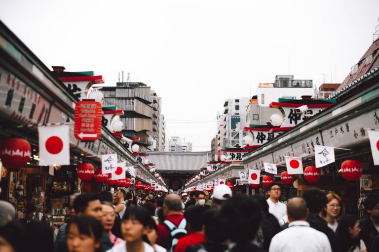 Tinerii moldoveni pot beneficia de burse de studii în Japonia
