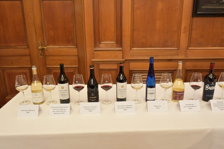 Vinurile Moldovei triumfă la Montréal: 46 de medalii la competiția Sélections Mondiales des Vins 2025